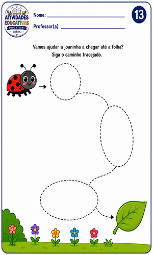 ladybug3